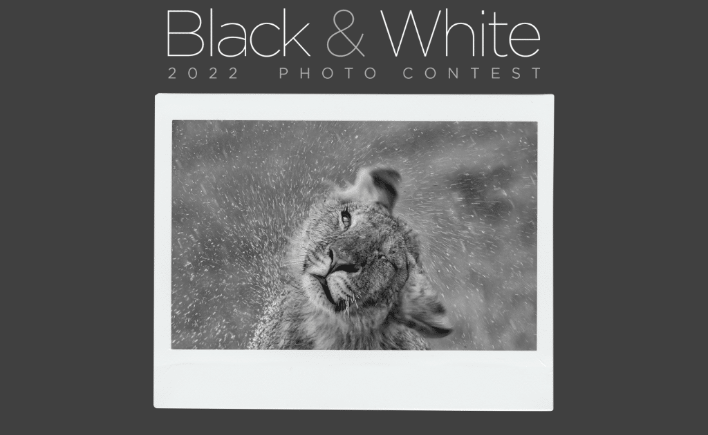 Annonce des finalistes du concours de photos en noir et
